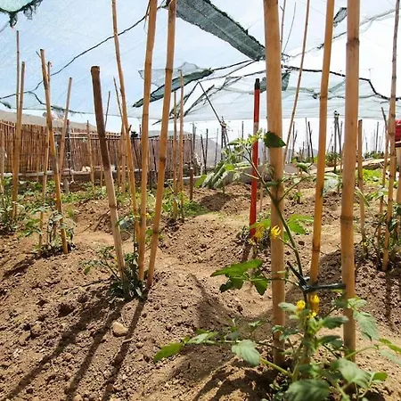 Appartement Stone House With Amazing View *