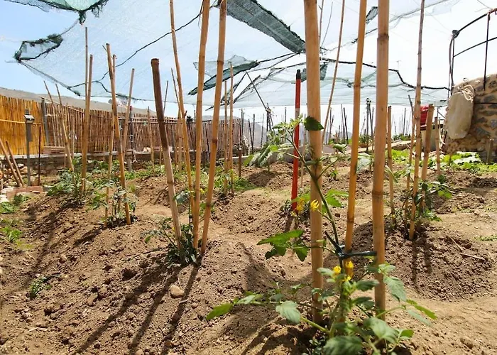 Appartement Mani Stone House Lodge *