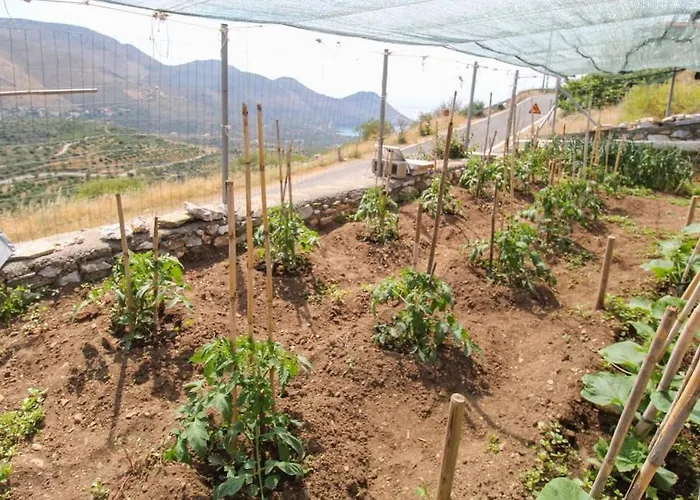 Stone House With Amazing View كوتروناس